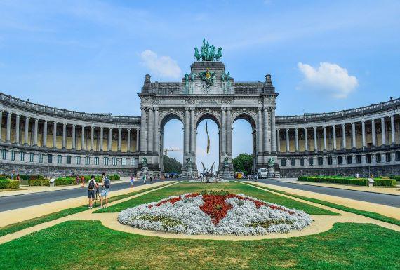 wespenbestrijding-brussel