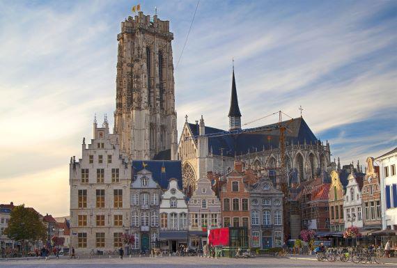wespenbestrijding-mechelen