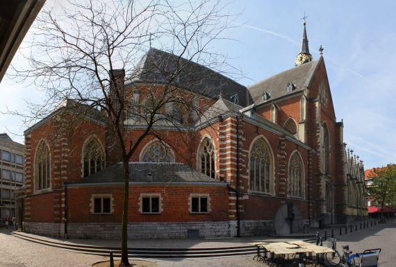 wespenbestrijding-hasselt