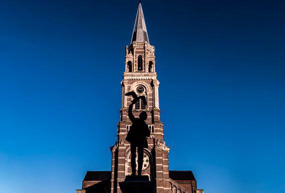 wespenbestrijding-roeselare