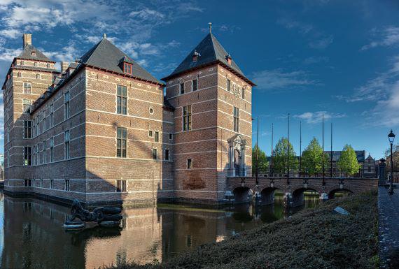 wespenbestrijding-turnhout
